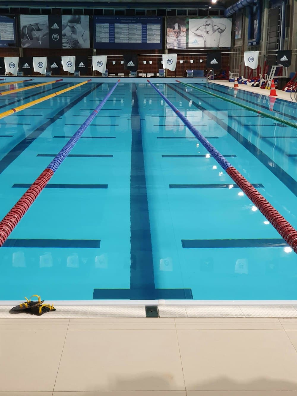 Swimming